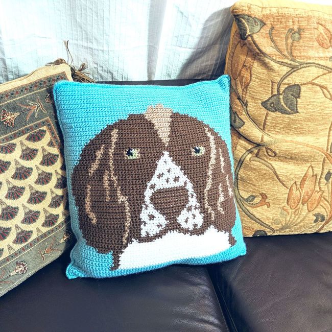 Springer Spaniel Cushion Cover: Crochet pattern | Ribblr